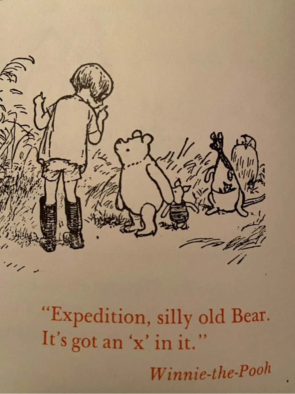 Winnie-the-Pooh offers scribbling choice